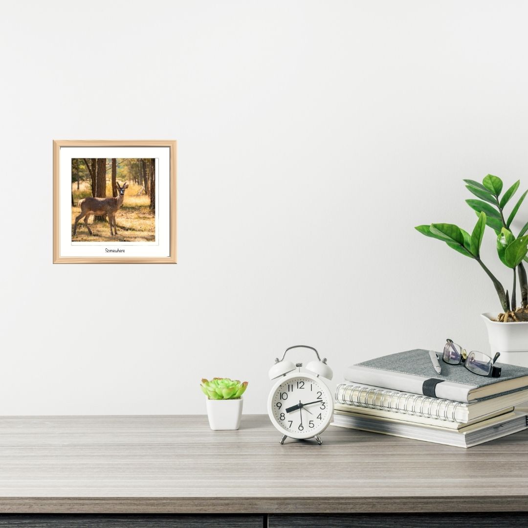 bureau-idee-deco-photo-biche
