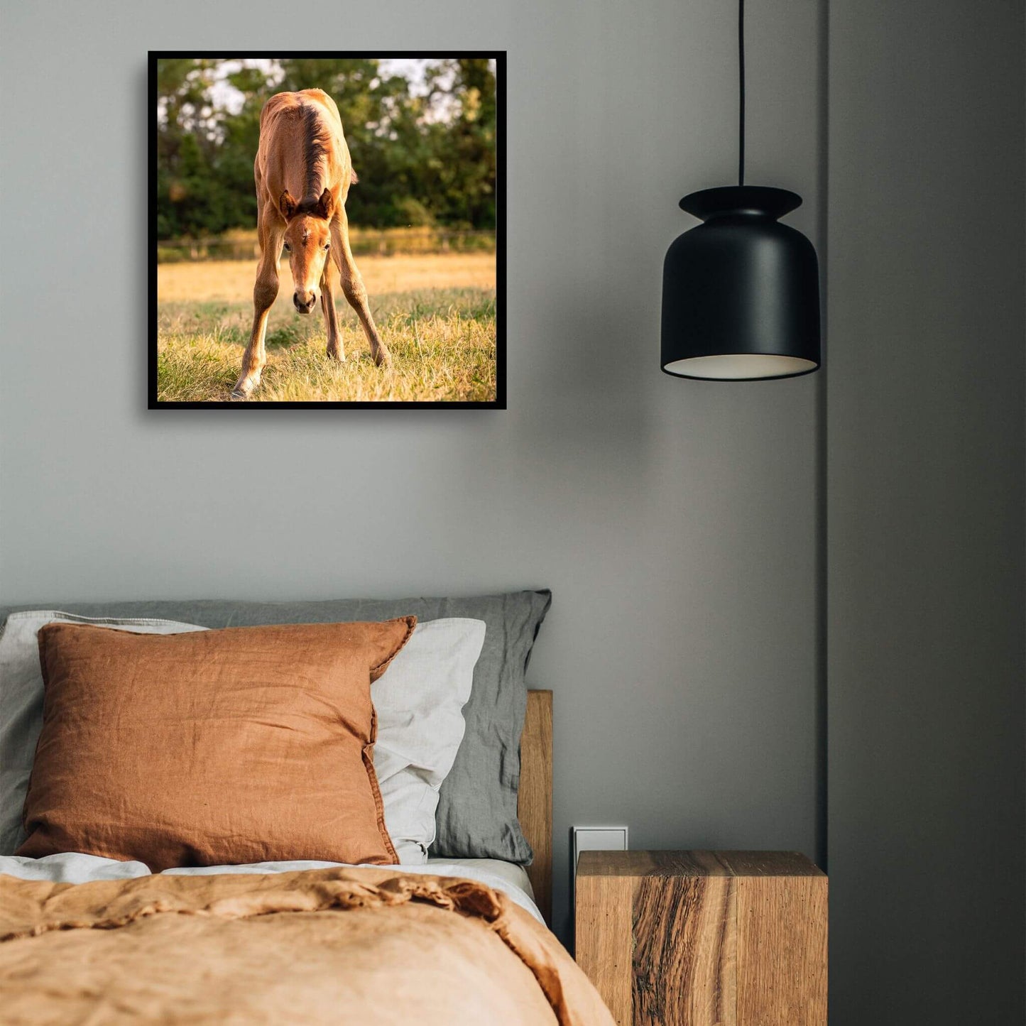 cadre-carre-photo-poulain-chambre