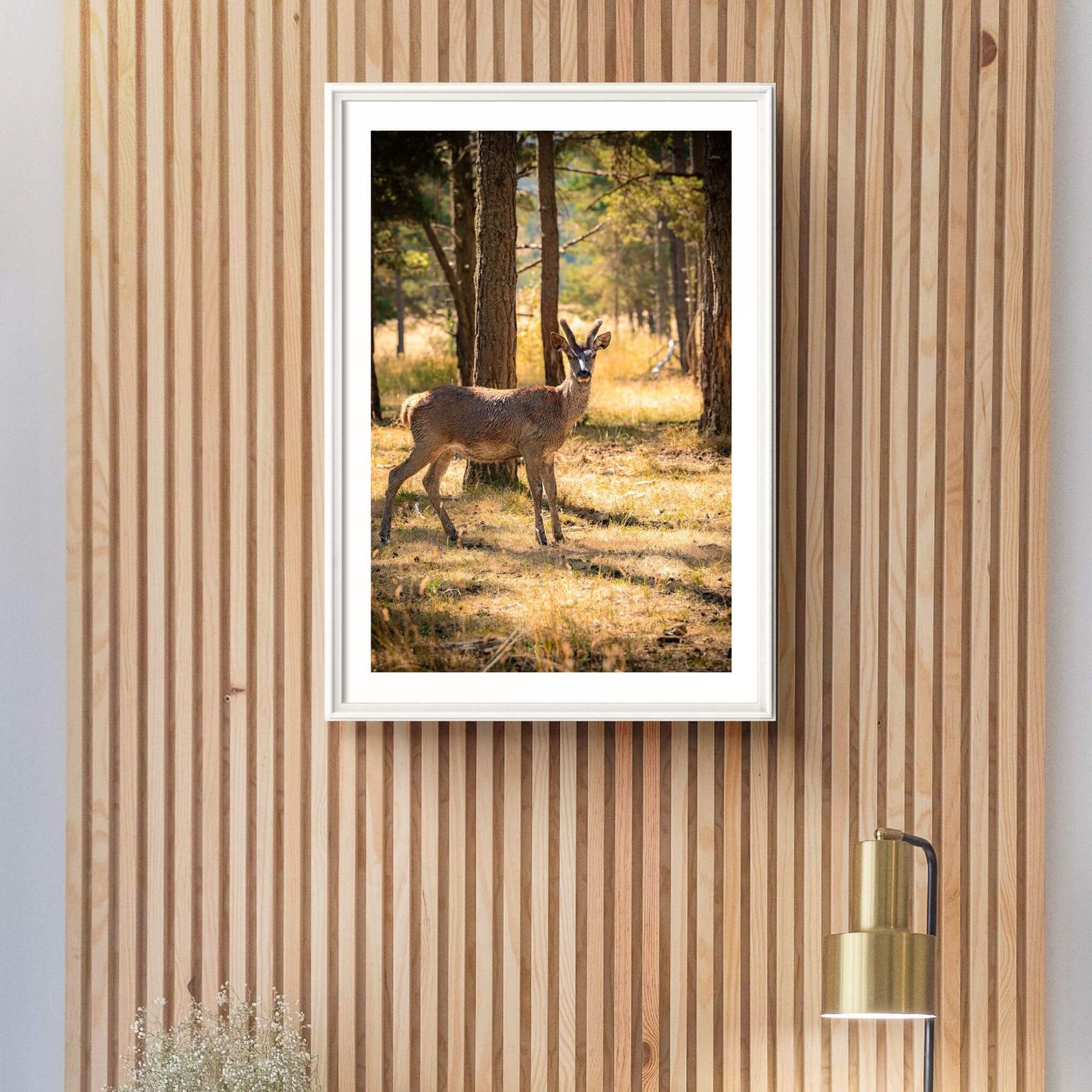 cadre-photo-biche-grand-format