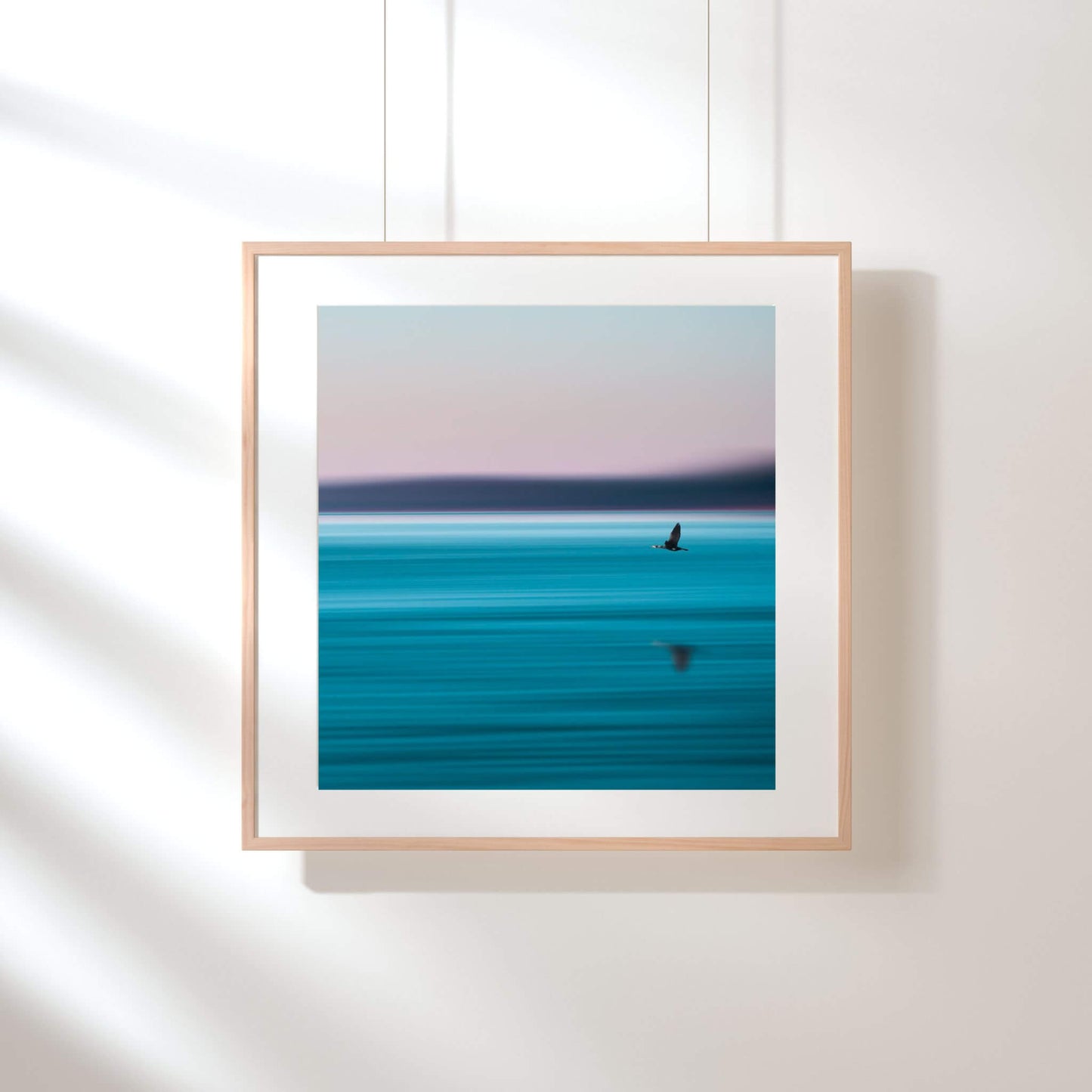 cadre-photo-expo-oiseau-mer