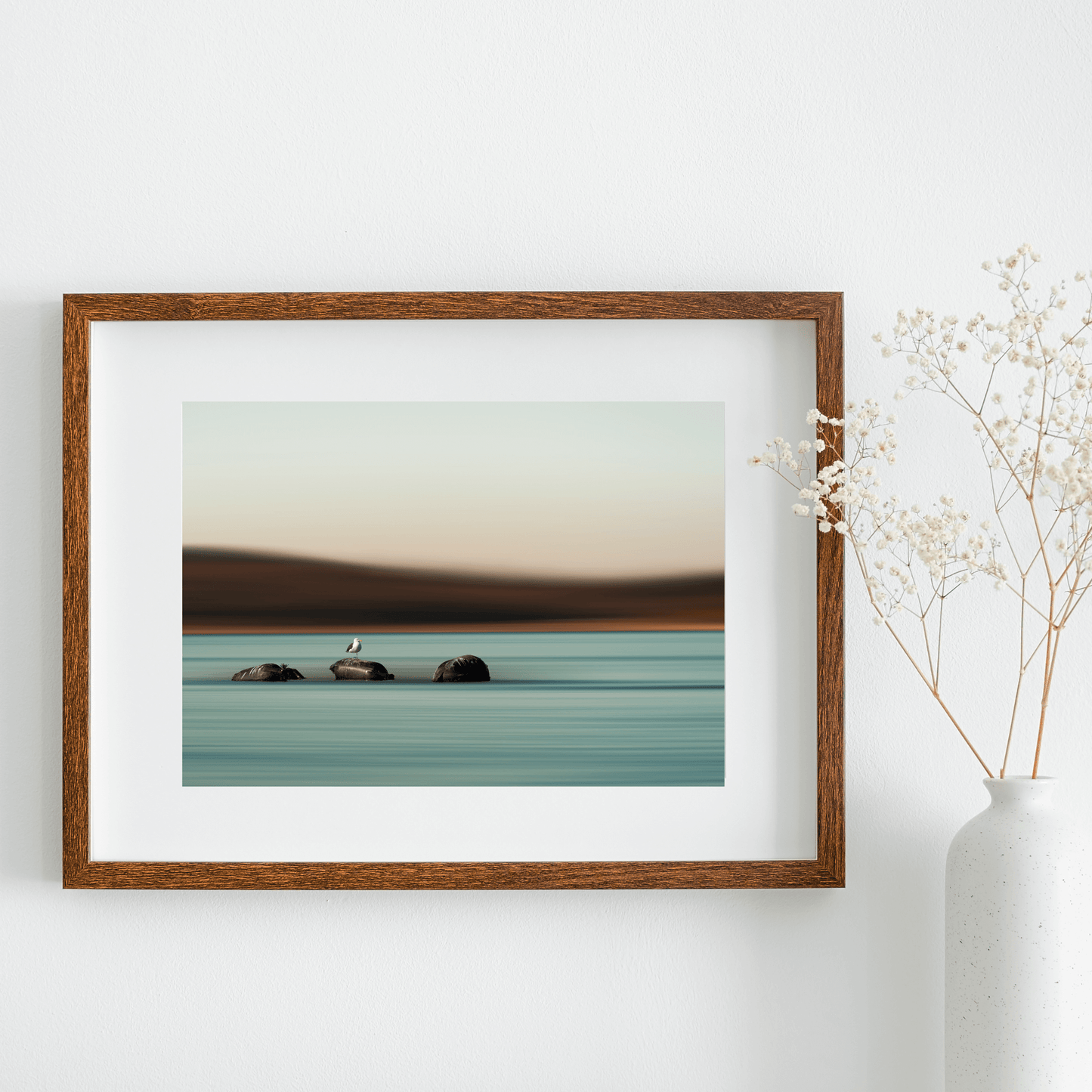 cadre-photo-mouette-minimaliste