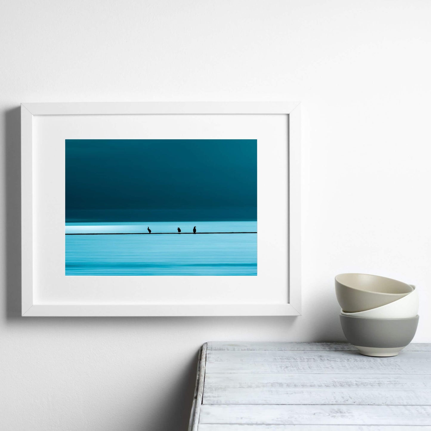 cadre-photo-paysage-marin-oiseaux