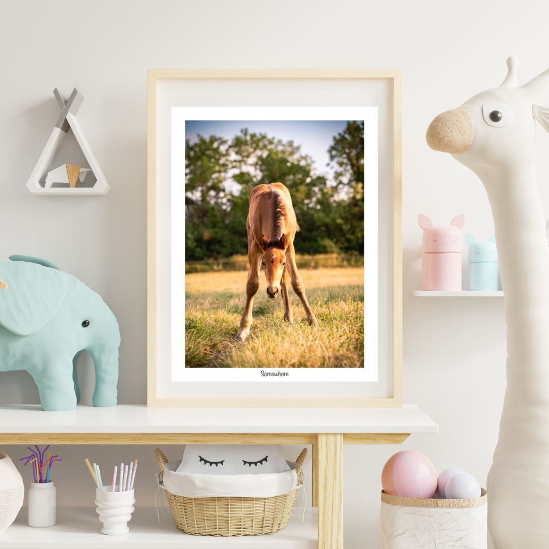 chambre-bebe-deco-cadre-photo-poulain