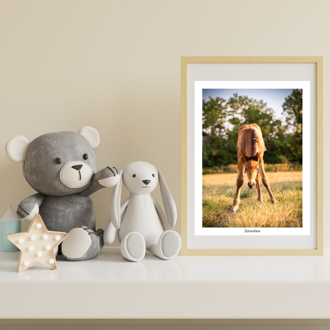 chambre-enfant-cadre-photo-poulain