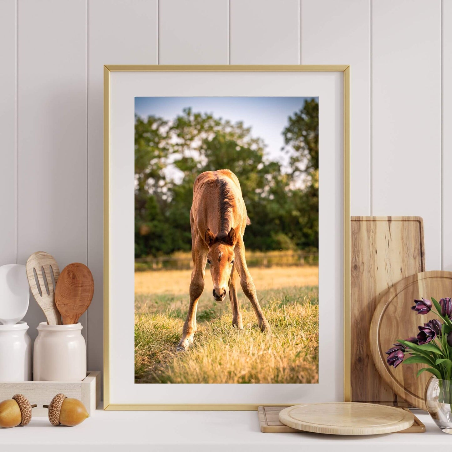 cuisine-blanche-bois-photo-poulain