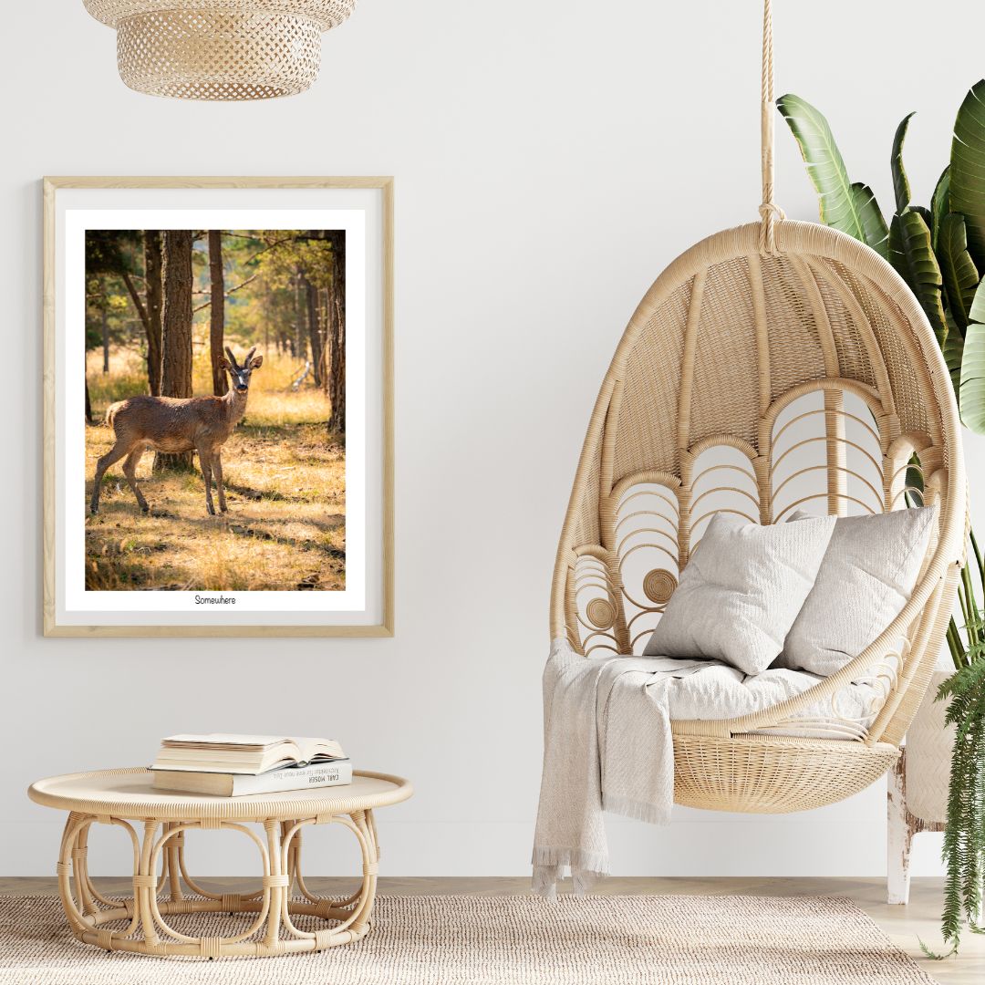 deco-interieur-osier-photo-biche