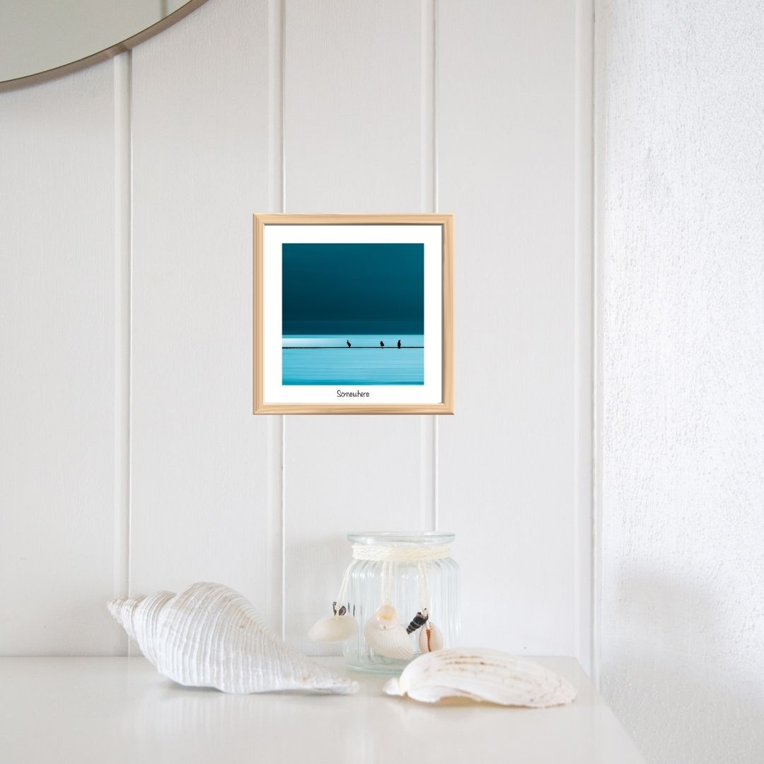decoration-bord-de-mer-photographie-oiseaux