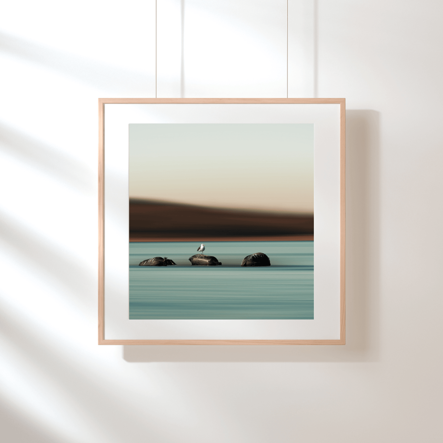 expo-photo-cadre-carre-mouette