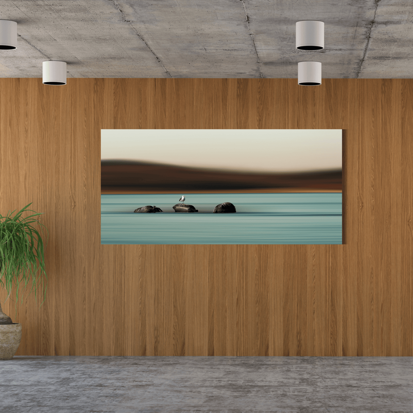 grand-format-photo-decoration-mur