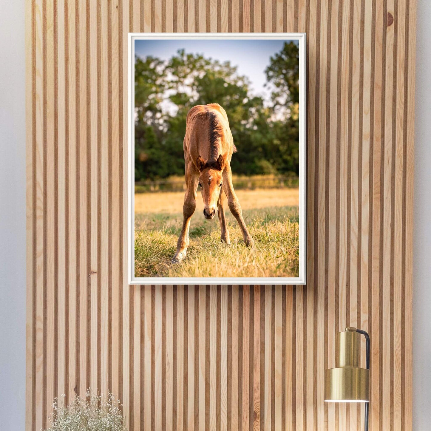 grand-format-photo-impression-poulain