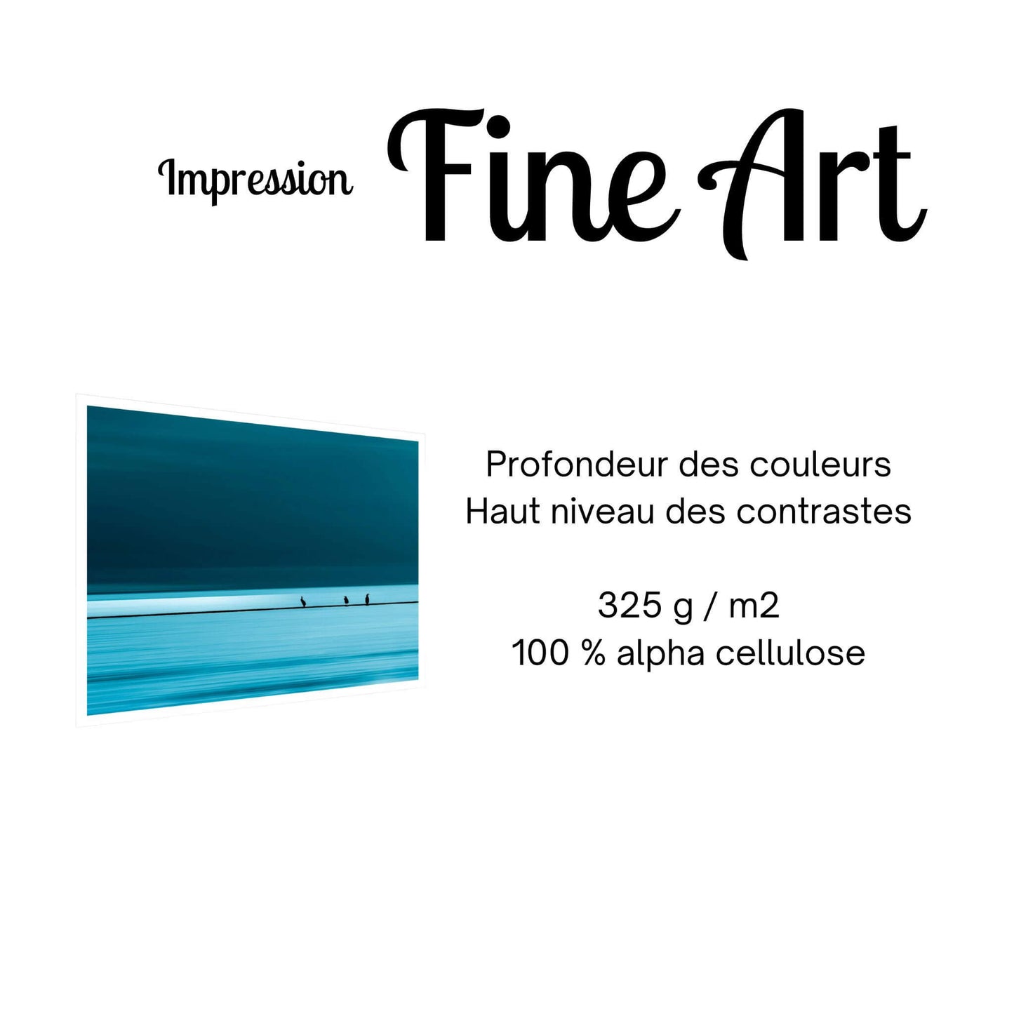 impression-fine-art-oiseaux