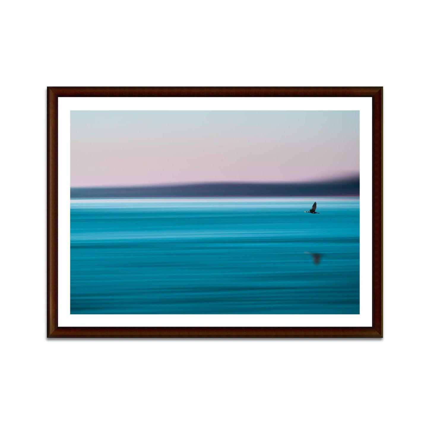 impression-photo-art-oiseau-mer