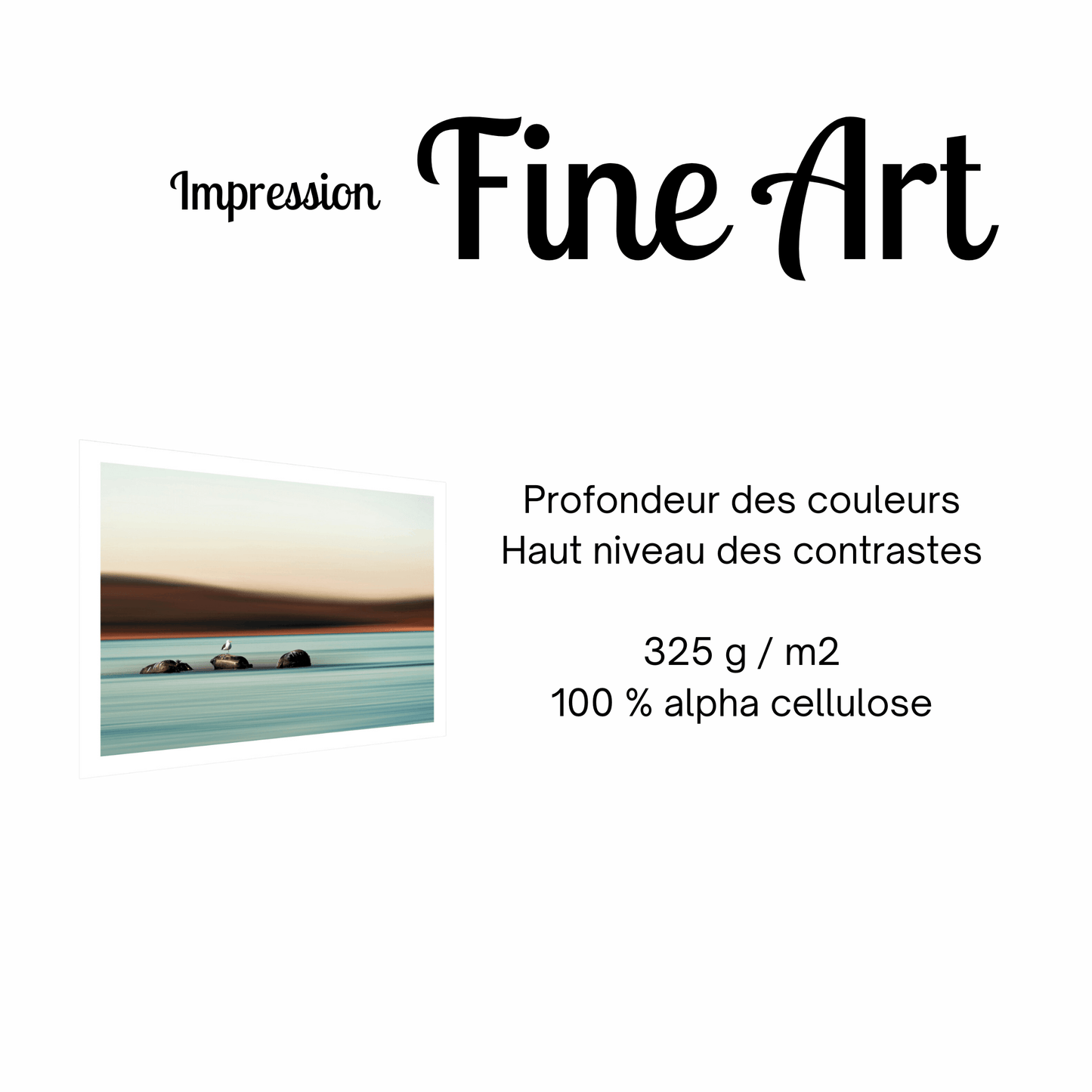 impression-photo-fine-art-mouette
