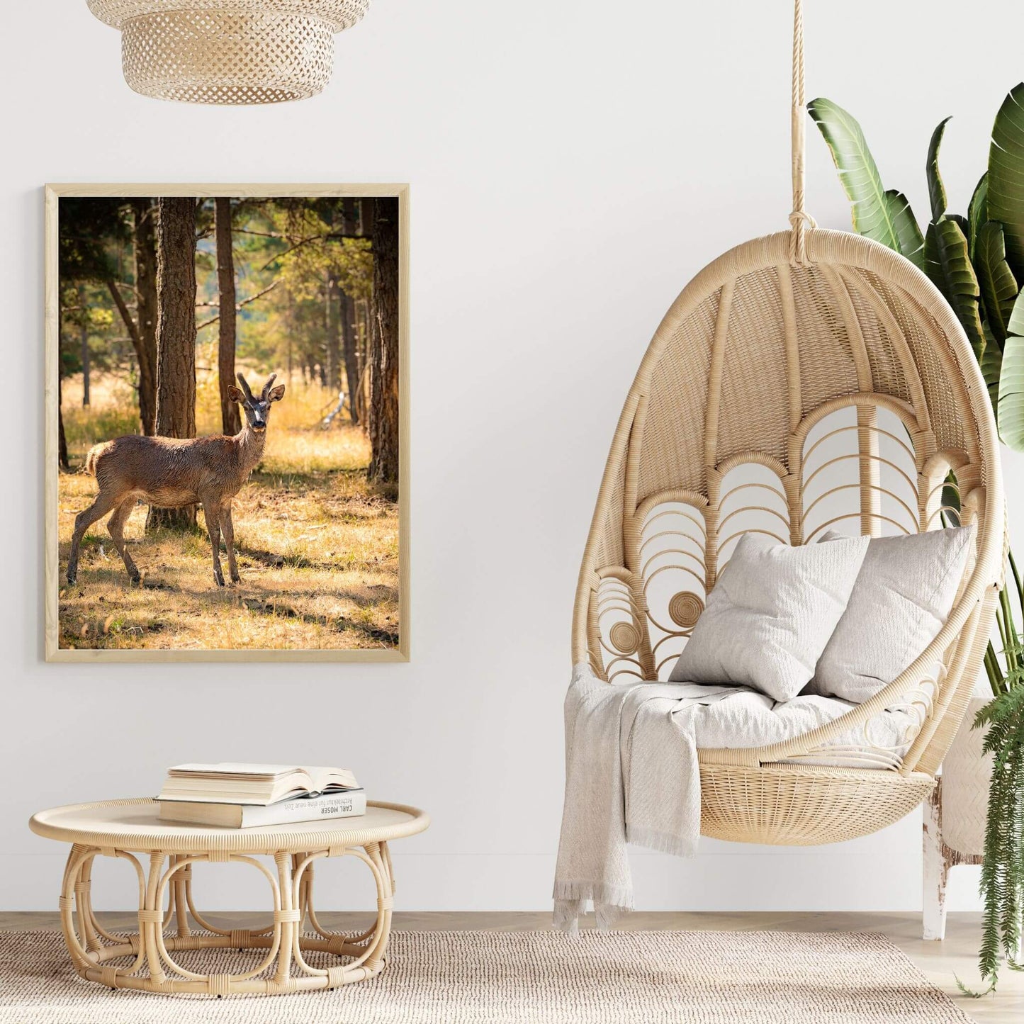inspiration-deco-cadre-photo-biche