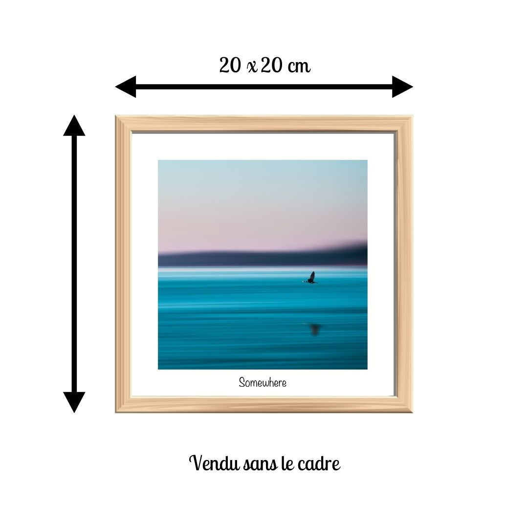 petit-format-cadre-photo-carre-oiseau-mer