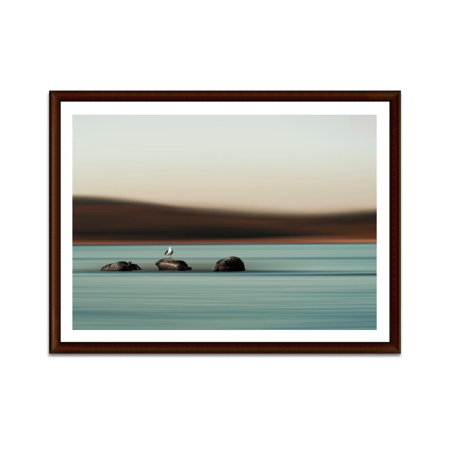 photographie-mouette-cadre-deco