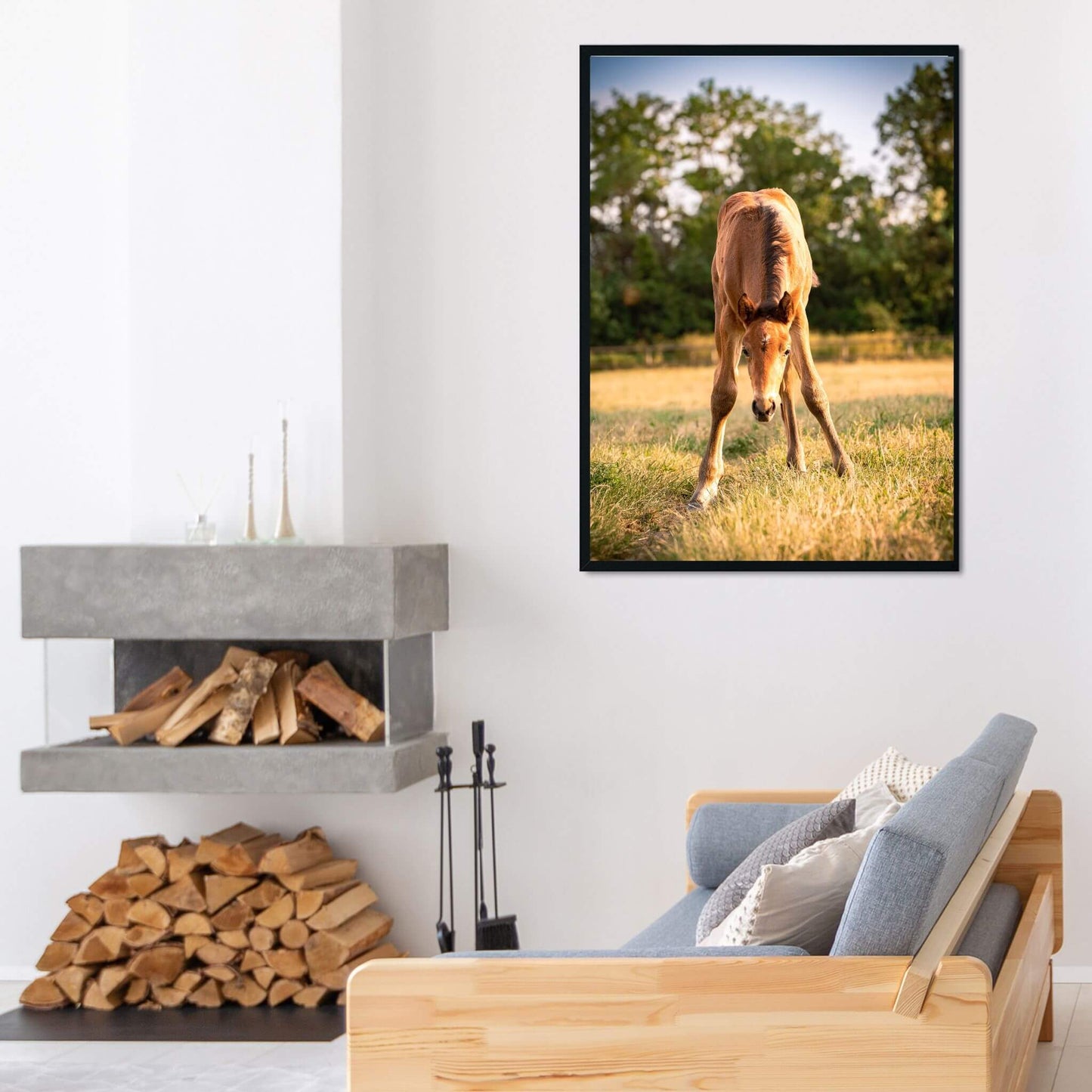salon-cheminee-decoration-photo-grand-format-poulain