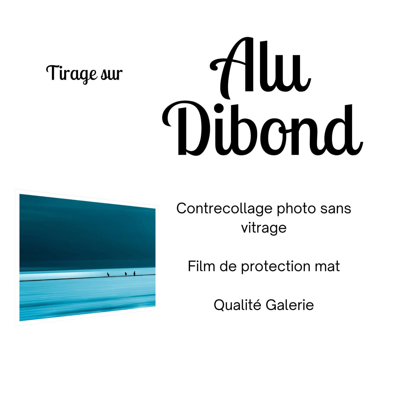 tirage-photo-alu-dibond-oiseaux