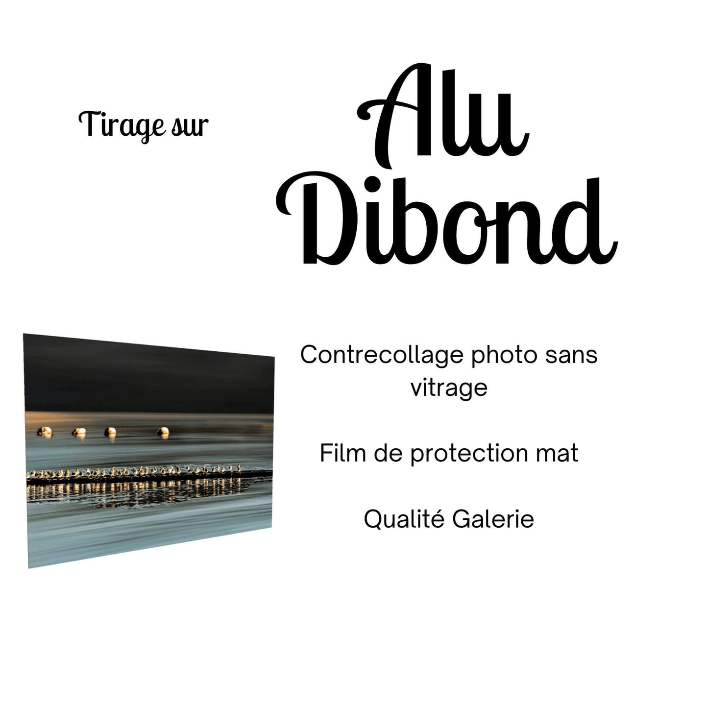 tirage photo alu dibond