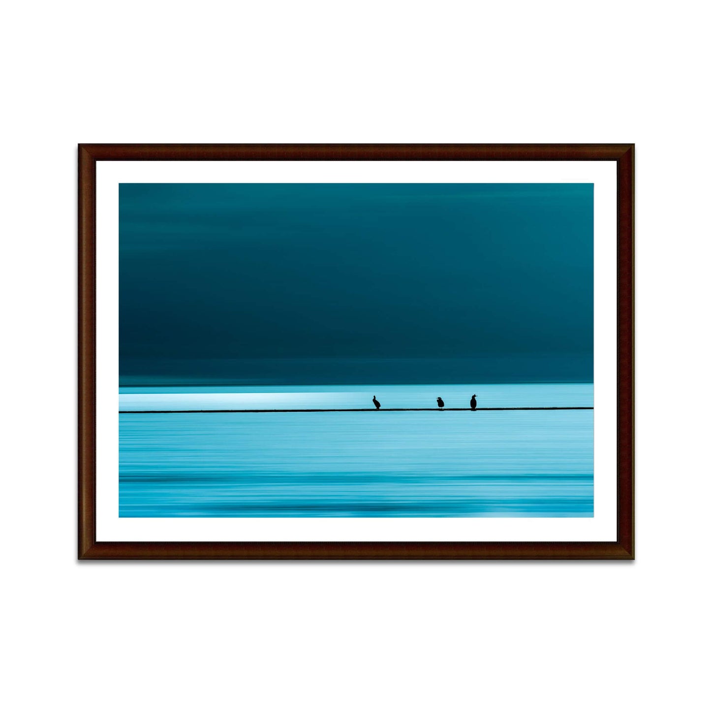 tirage-photo-art-oiseaux-mer