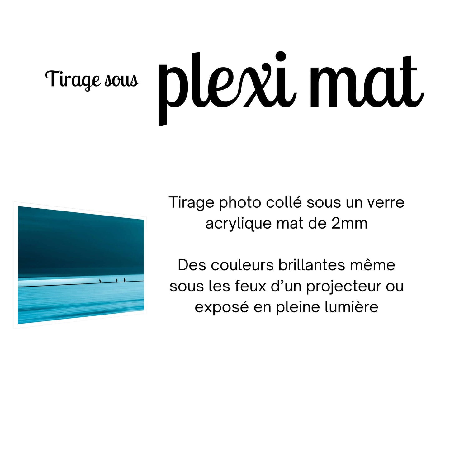 tirage-photo-plexi-oiseaux