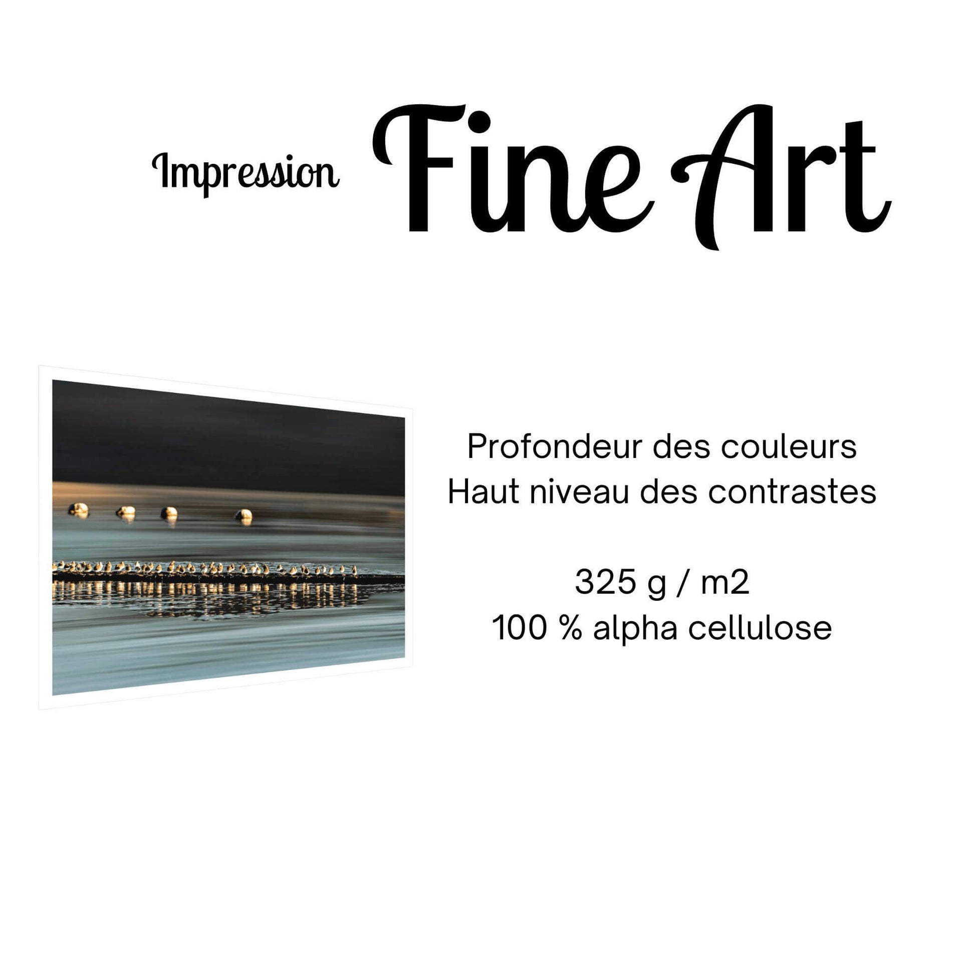 impression photo fine art