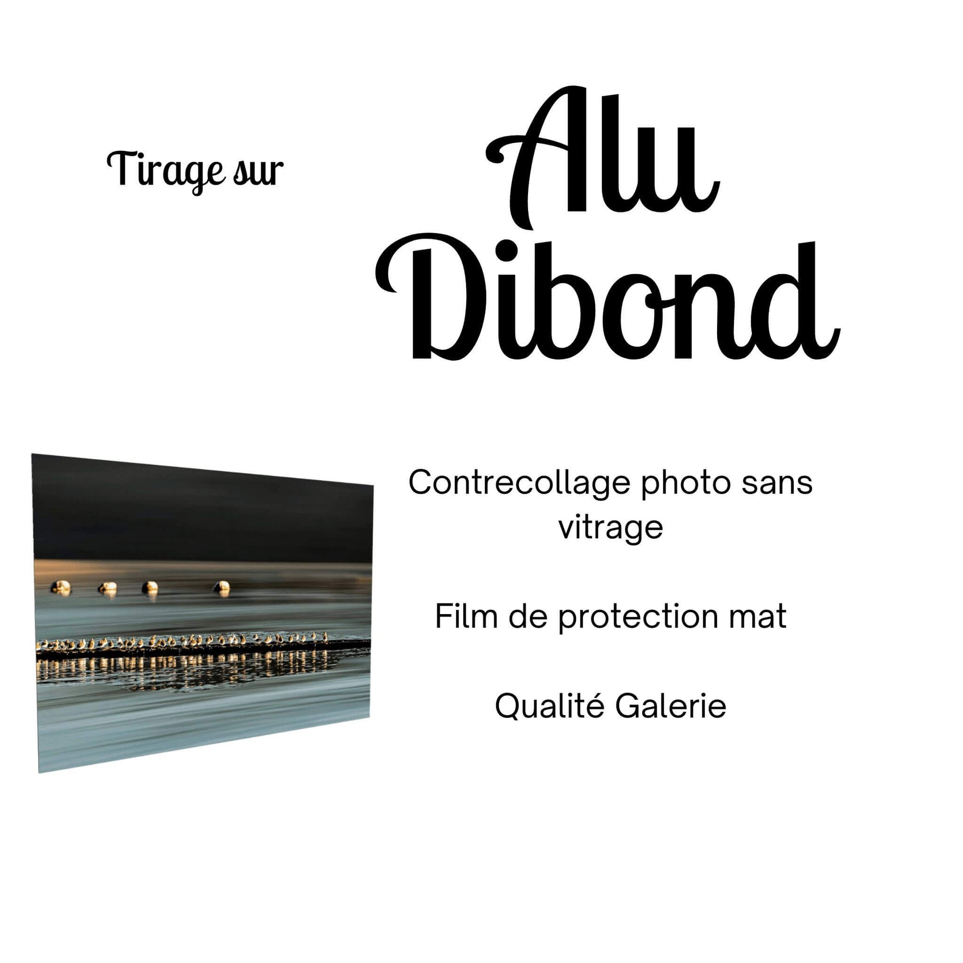 tirage photo alu dibond